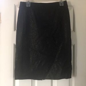 J Crew Skirt